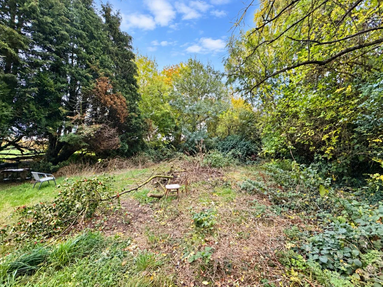 Clervaux Terrace, Fishburn, TS21, photo 21