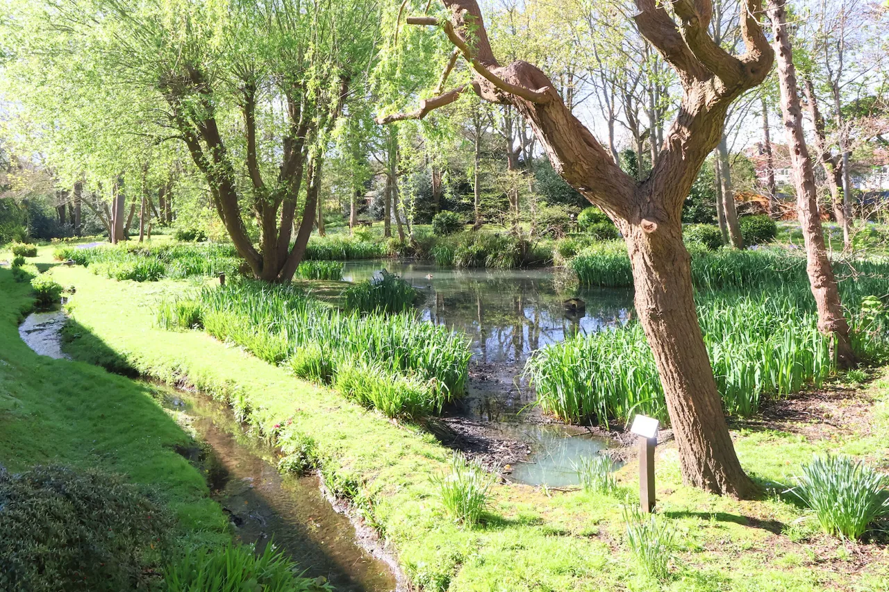 Flat 32, Riverside Walk The Alders, West Wickham, BR4 9PZ, photo 5