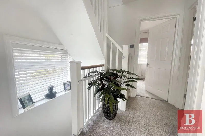Hollingbury Rise, Brighton BN1 7HJ, photo 12
