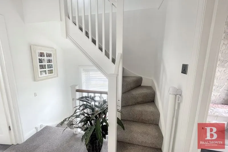 Hollingbury Rise, Brighton BN1 7HJ, photo 17