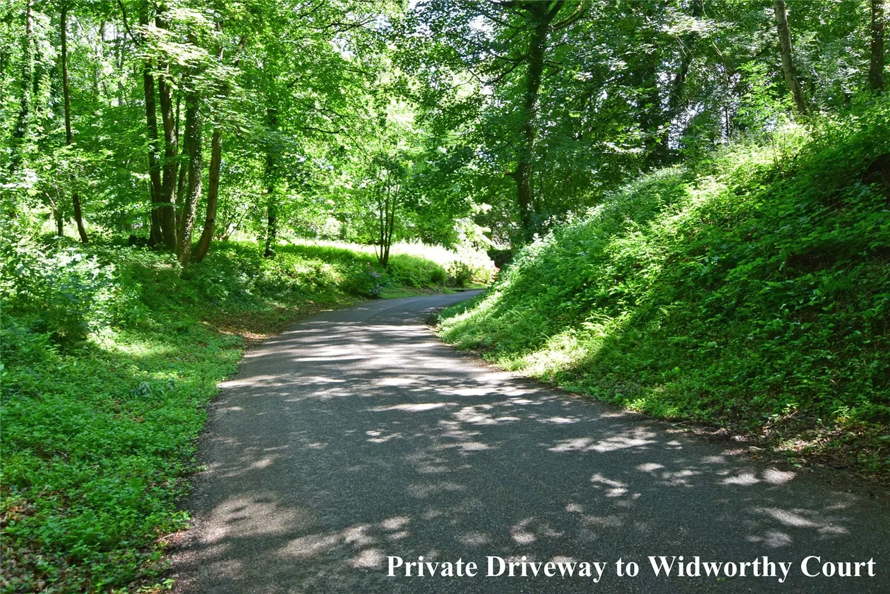 Widworthy Court, Wilmington, Honiton, Devon, EX14 9JN, photo 14