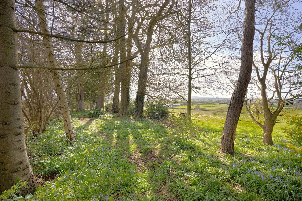 High Street, Seend, SN12, photo 3