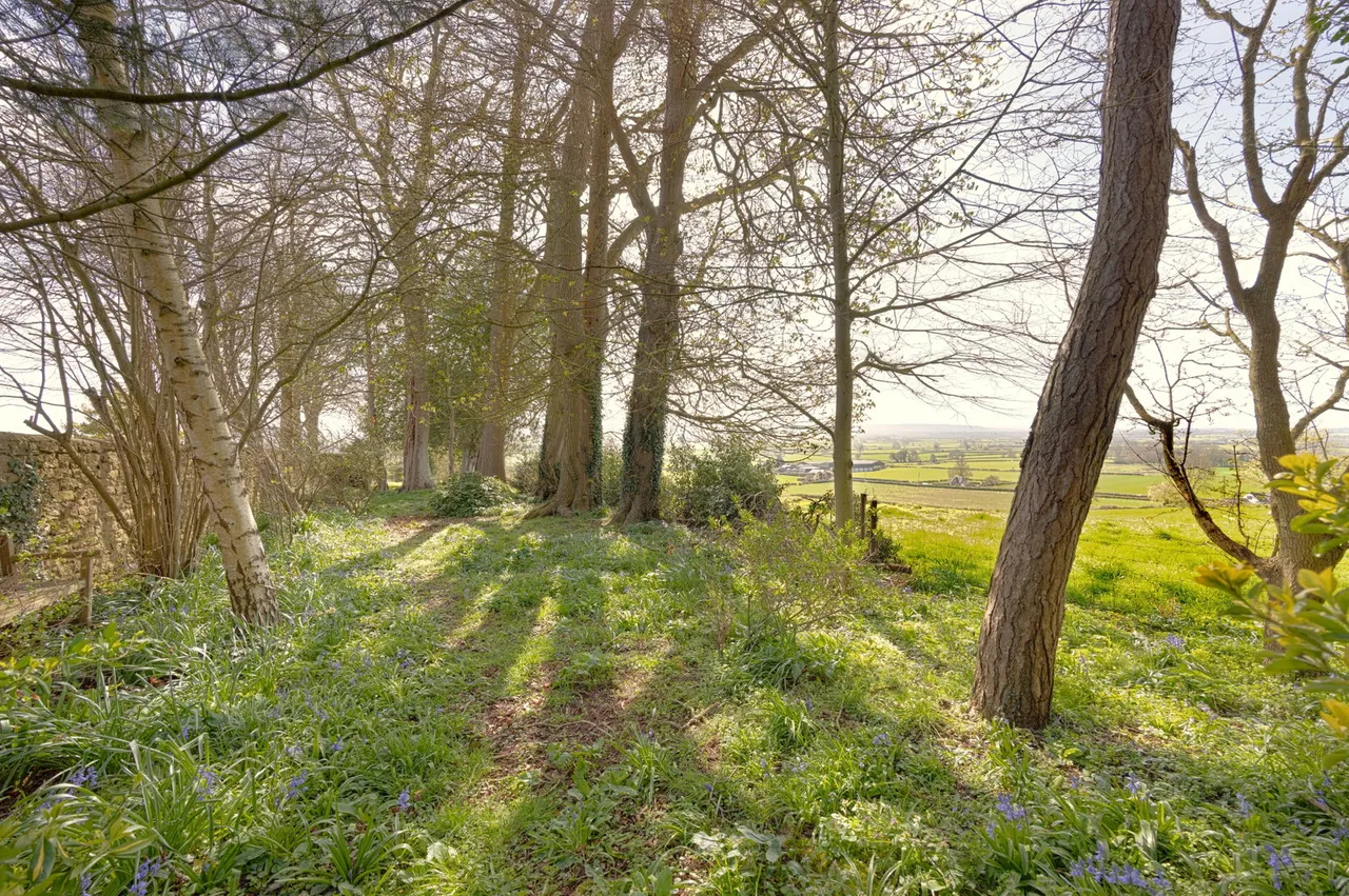High Street, Seend, SN12, photo 56