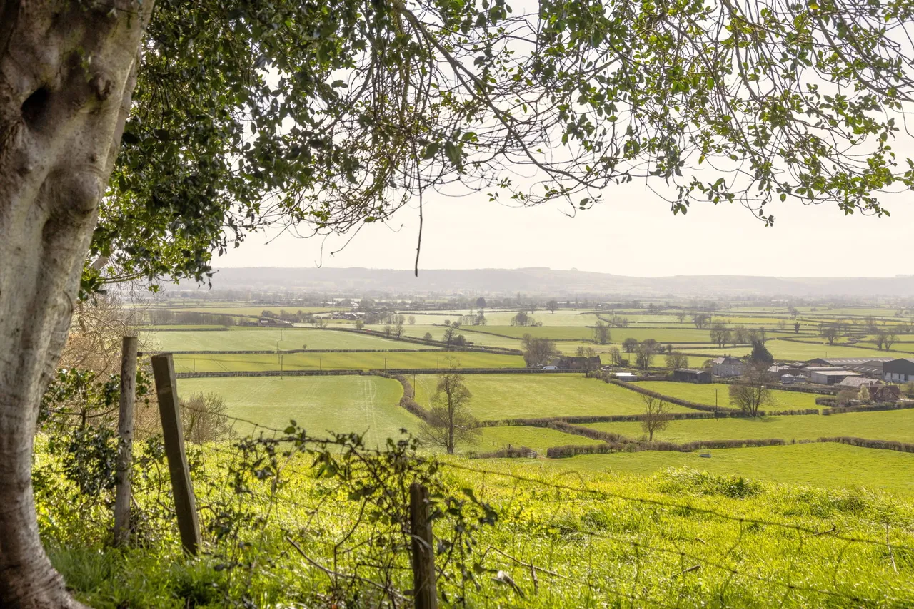 High Street, Seend, SN12, photo 62