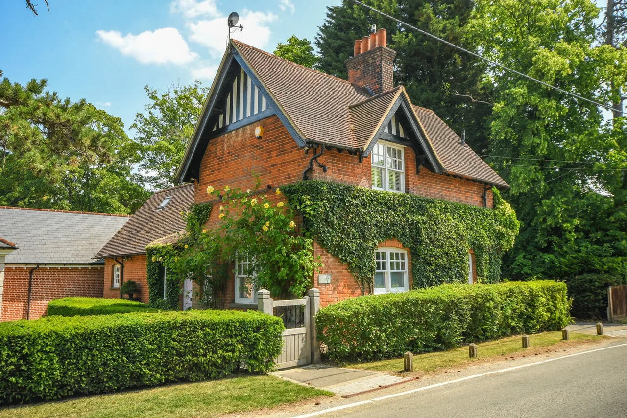 Mill Green Road, Mill Green, CM4, photo 5