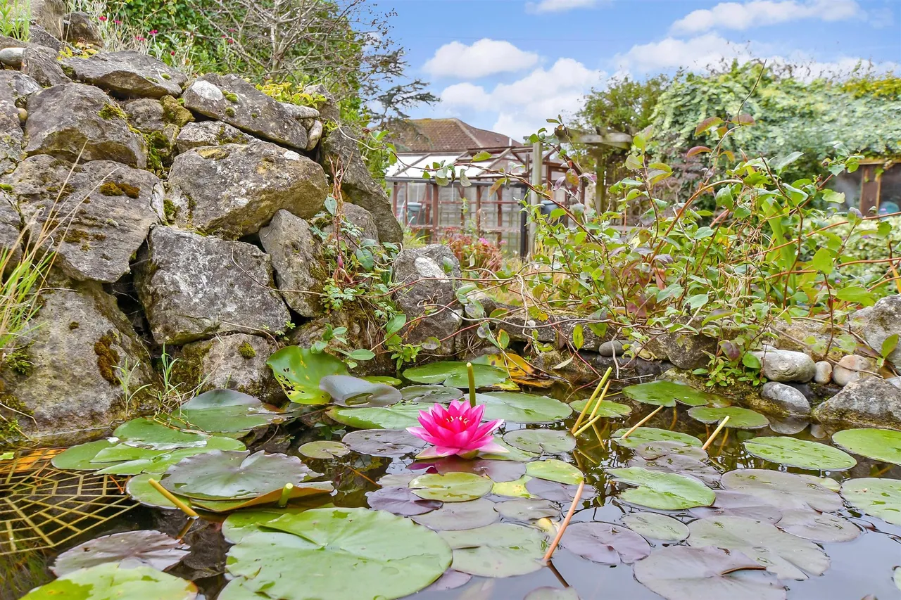Coast Road, Littlestone, TN28, photo 15