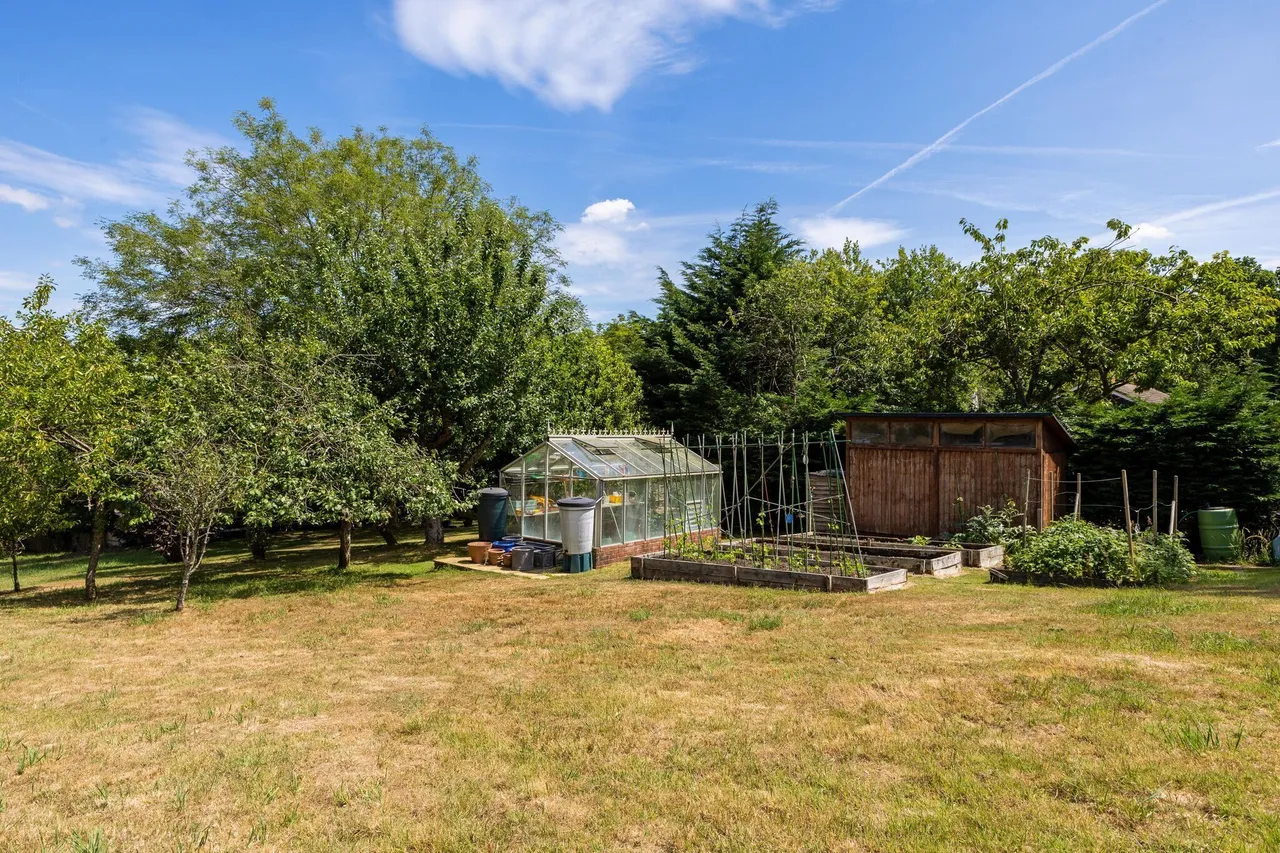 Kings Hill, Beech, GU34, photo 22