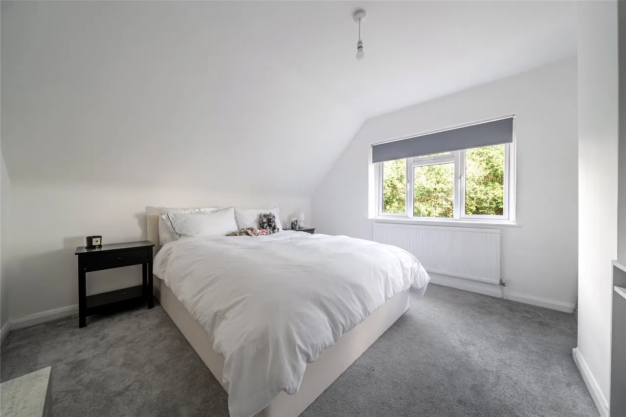 Hastings Road, Bromley, BR2, photo 10