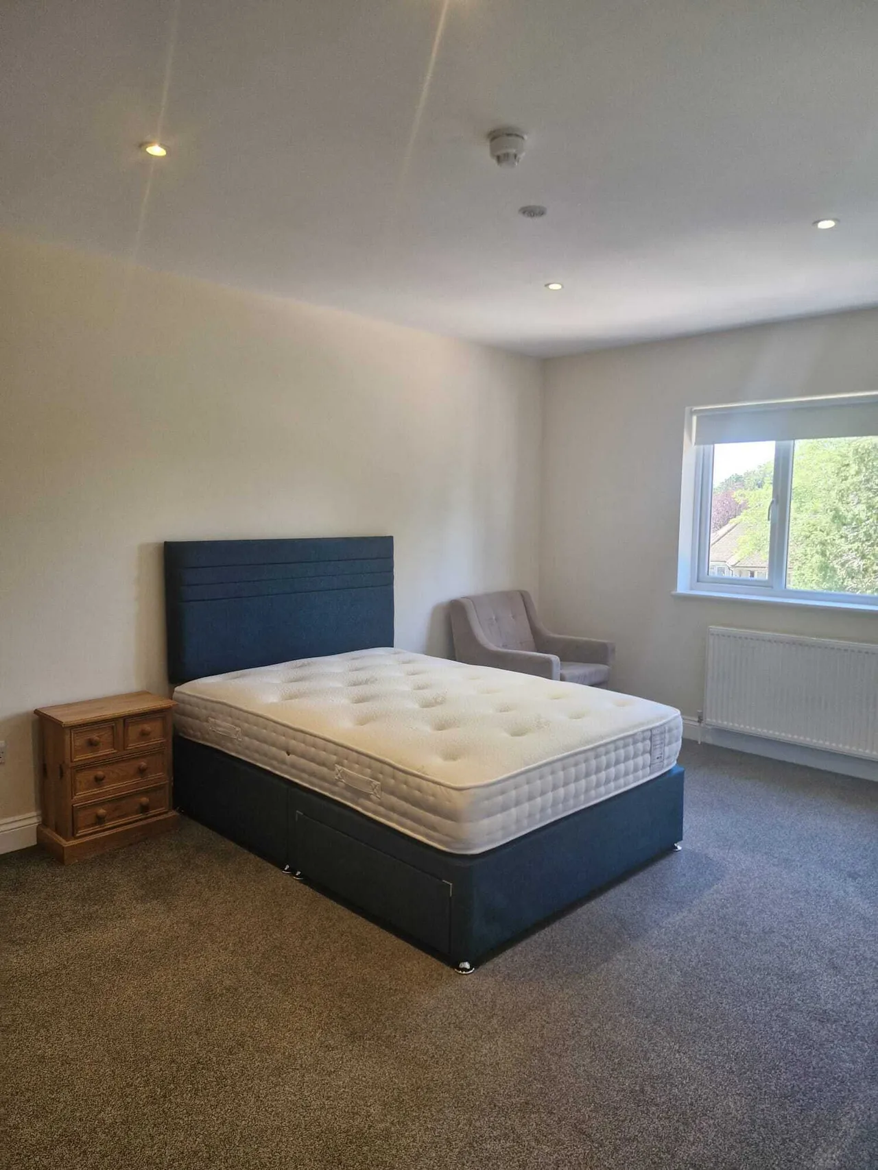 Buxton Lane, CR3, photo 8