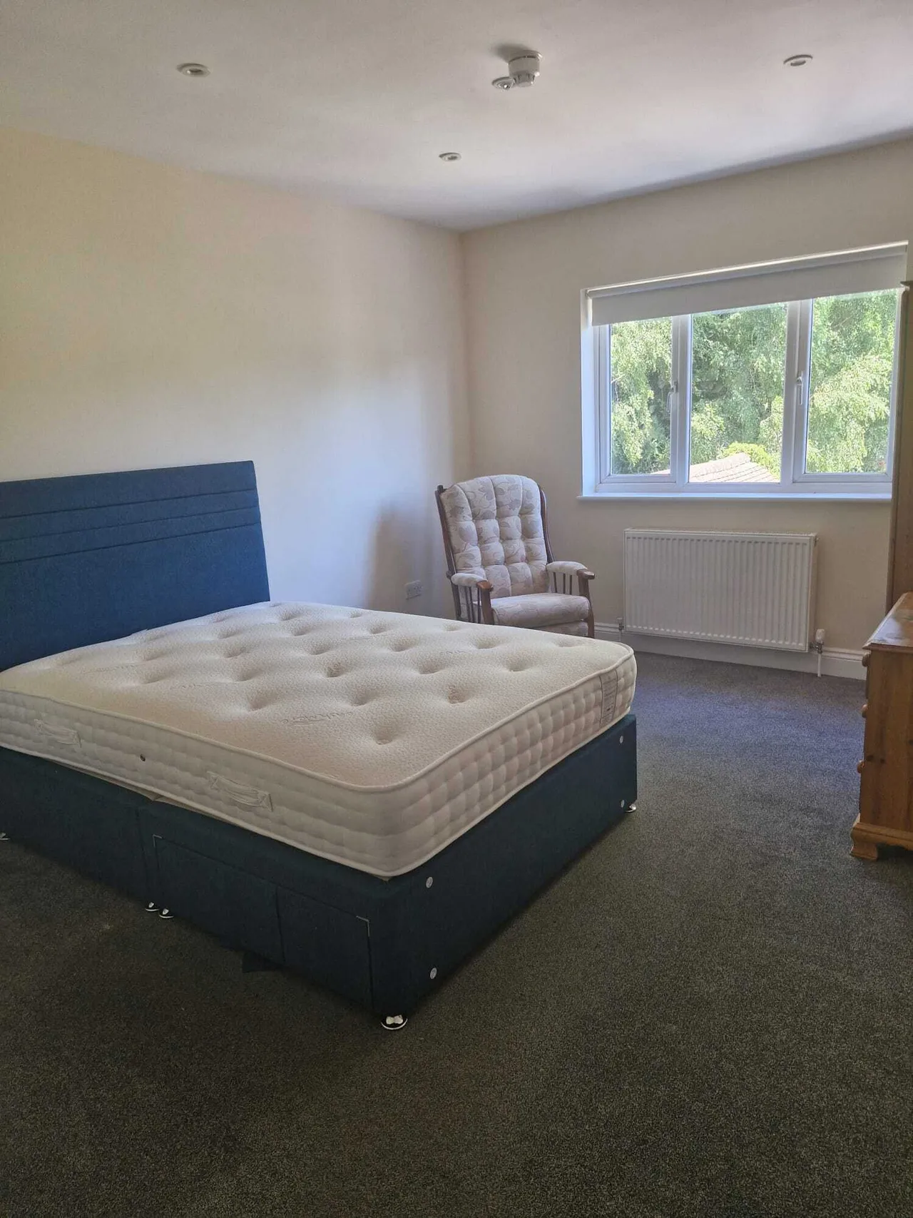Buxton Lane, CR3, photo 6