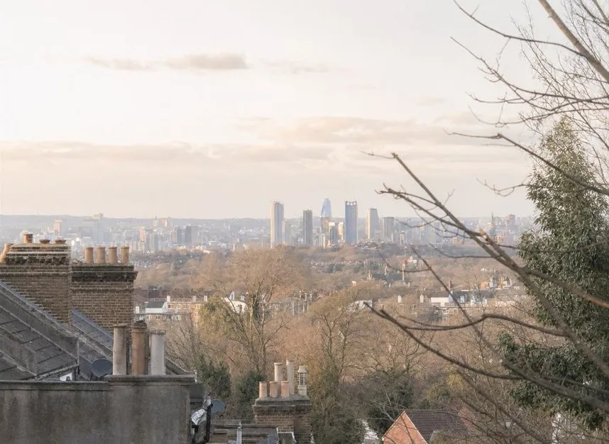 Jasper Road, Crystal Palace, SE19, photo 11