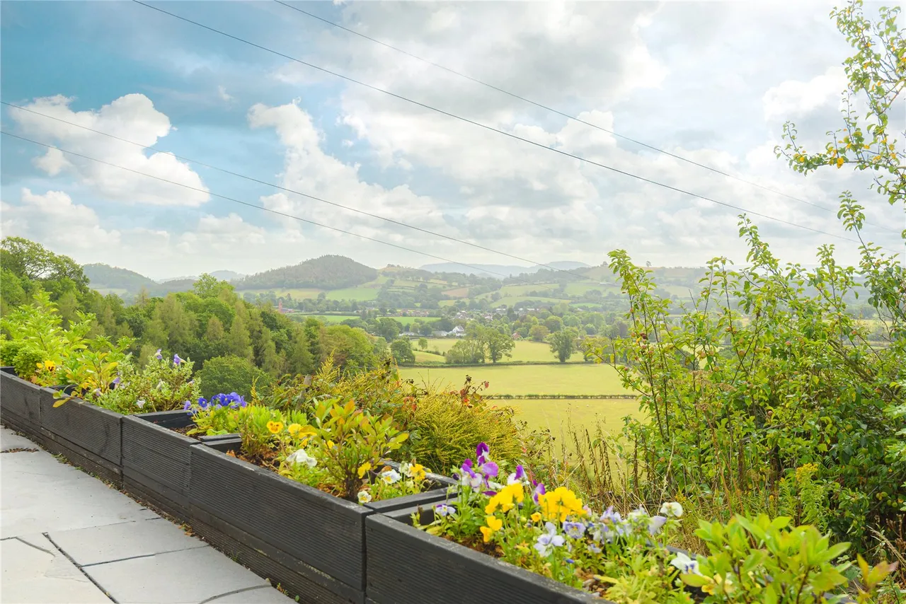 Llanfechain, Powys, SY22 6XE, photo 54