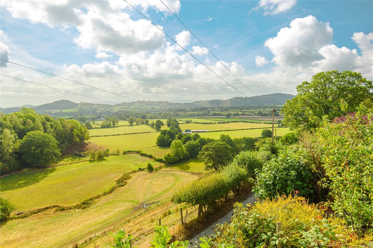 Llanfechain, Powys, SY22 6XE, photo 30
