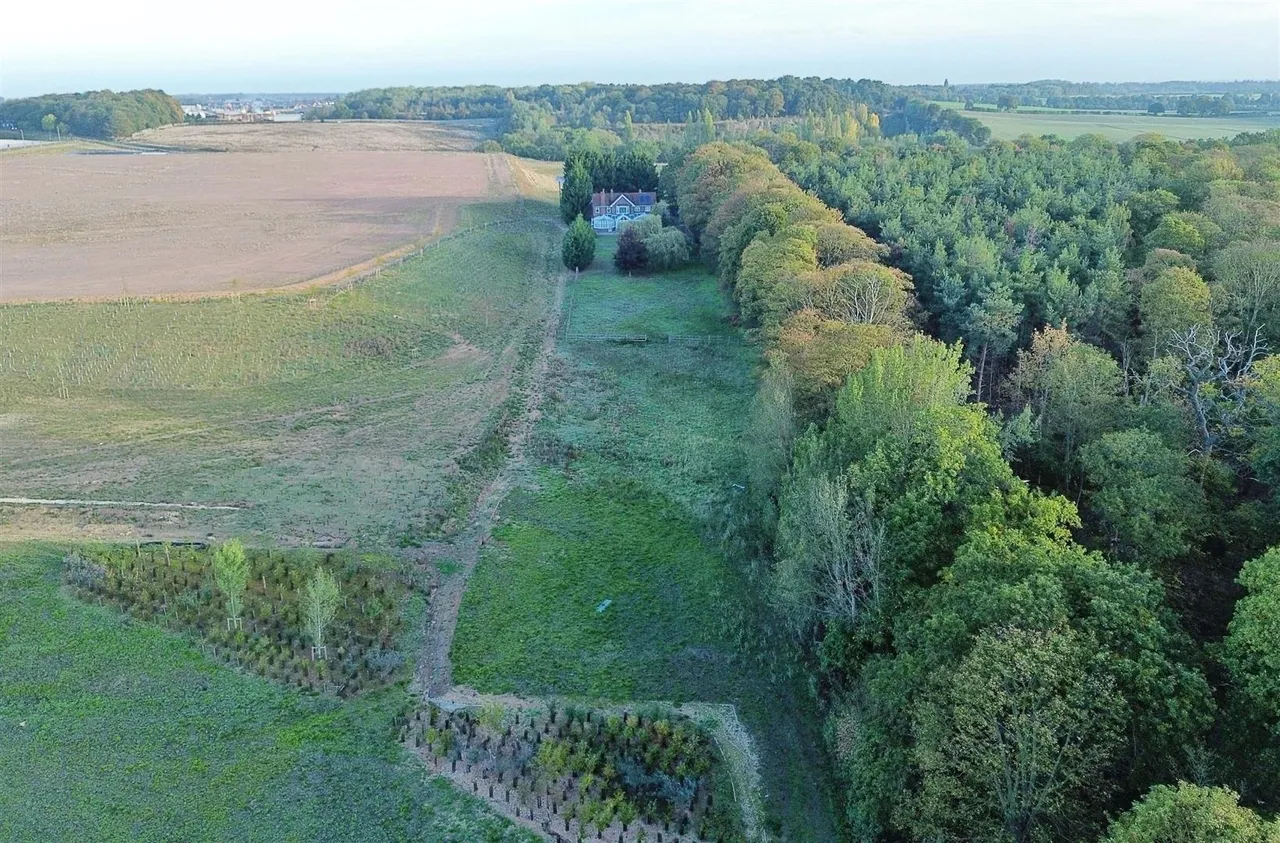Blyth Road, Serlby, photo 49