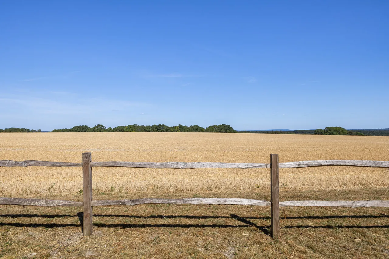 River Hill, Binsted, GU34, photo 18