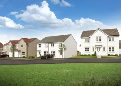 Avonside Wisp, Falkirk
