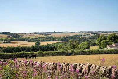 Fellside Gardens, County Durham
