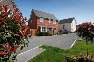Isleport Grove, Somerset