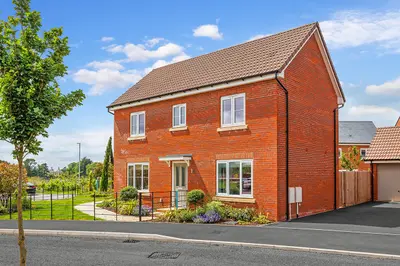 Orchard Grove, Somerset