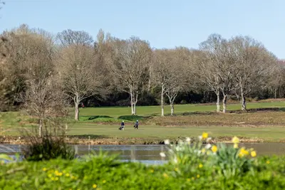 The Bluebells, Uckfield, East Sussex