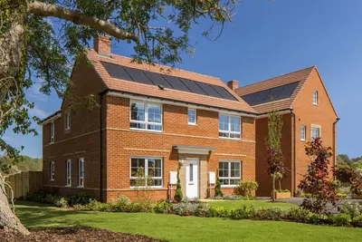 Hawthorn Grove, East Sussex