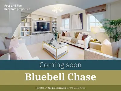 Bluebell Chase, Lancashire