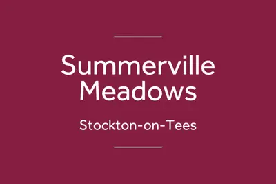Summerville Meadows, County Durham