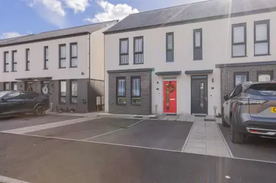 Cow Parsley Way, Newport, NP19