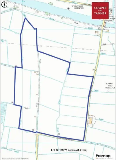 Cossington, Bridgewater, TA7
