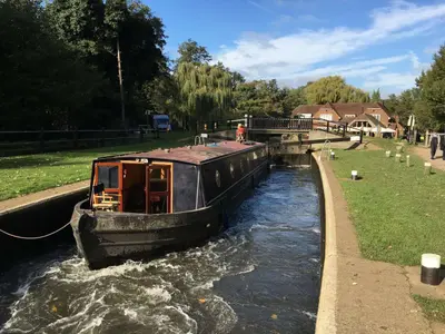 Ash island, Hampton Court, KT8